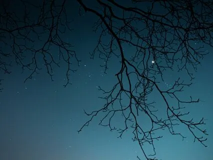 Deep, Deep Sleep | Reliable Sleep Booster