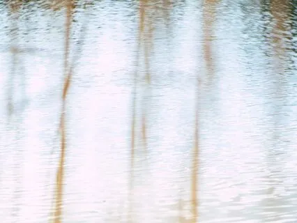 Deep Delta Gateway - Relaxing Music For Harmony & Alignment