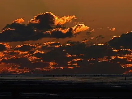 Deep Delta Sleep | Gentle Binaural Beats | Restorative Sleep