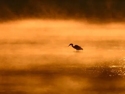 Deep Delta Sleep - Premium Sleep Music (432 Hz)