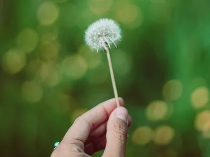 Deep Dive Into Breathing