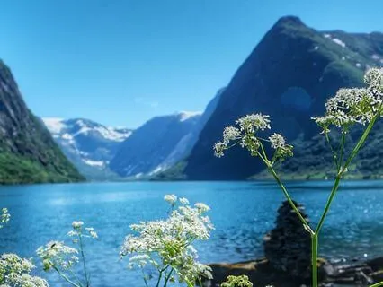 Deep Earth Grounding Meditation Practice