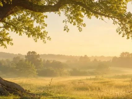Deep Earth Grounding | Nervous System Healing Meditation