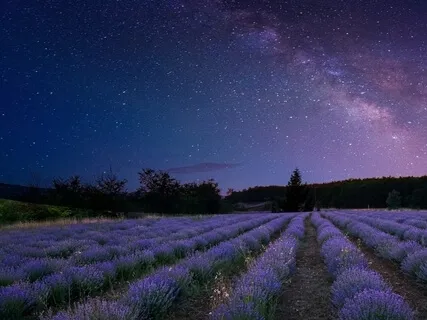 Deep Emotional Healing, Accept Yourself & Find Peace