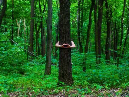 Deep Emotional Healing With 417 Hz + 639 Hz Tuning Forks