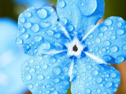 Deep Emotional Release & Inner Peace: Stress Healing