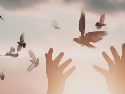 Deep Emotional Release