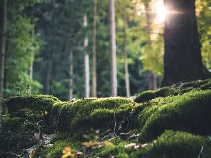 Deep Energetic Grounding 