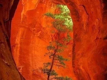 Deep Feminine Nectar Meditation