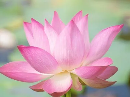 Deep Focus: Concentration Music For Study & Productivity