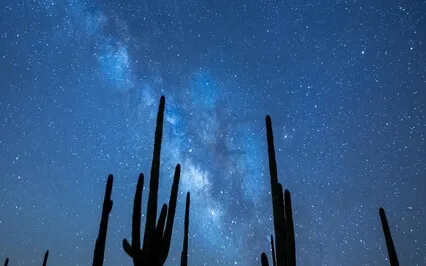 Deep Focus - Deep Healing