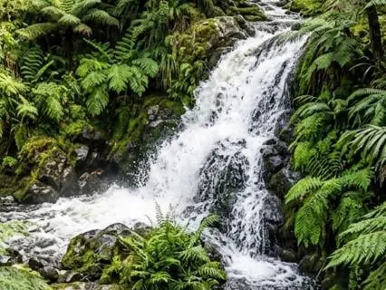 Deep Focus Waterfall: 30-Minute Natural White Noise
