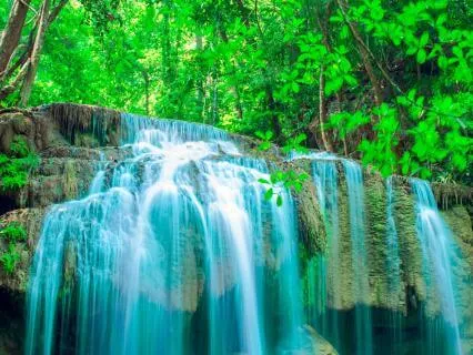Deep Forest Visualization For Inner Calm And Strength