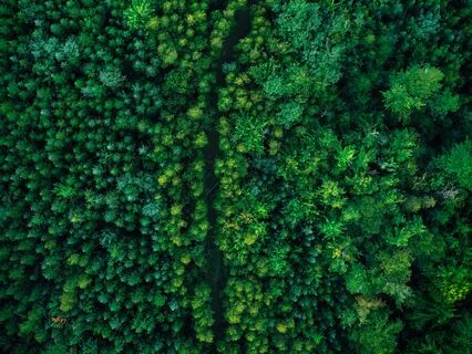 Deep Green Noise For Restful Sleep