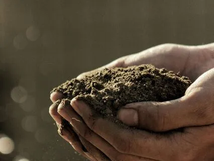 Deep Grounding: Anchor Into The Body And Earth