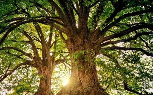 Deep Grounding For Inner Peace