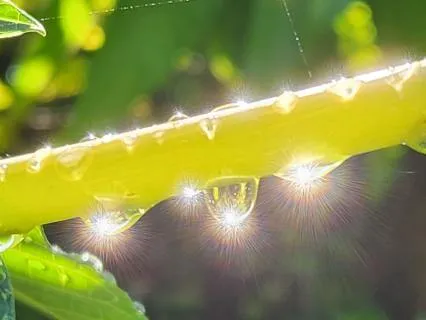 Deep Grounding Frequencies For Healing