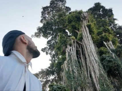 Rooted Like A Tree | Deep Grounding
