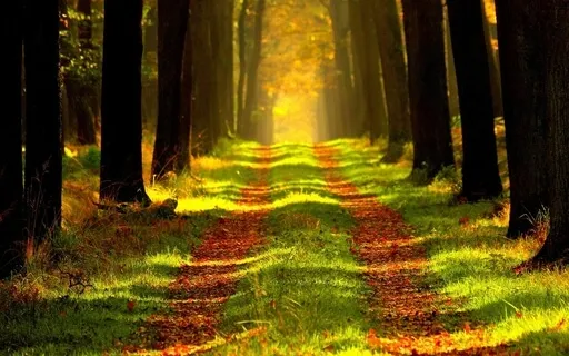 Deep Guitar Sounds - The Strings Of The Universe