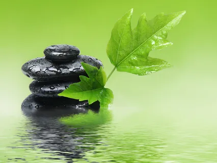 Deep Healing - 741Hz Detox The Body From Virus And Bacteria