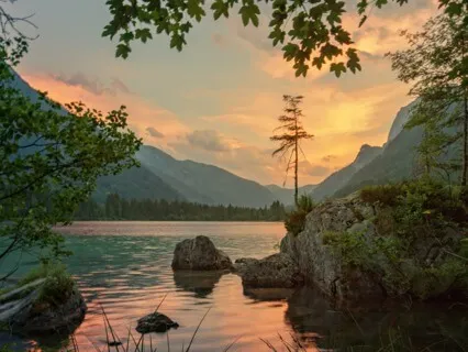 Deep Healing & Cord Clearing