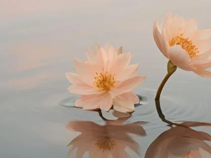 Deep Healing | Calm Your Mind, Body & Nervous System