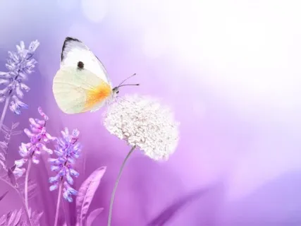 Deep Healing Energy - 528Hz Love Frequency Music - Positive Aura Cleanse