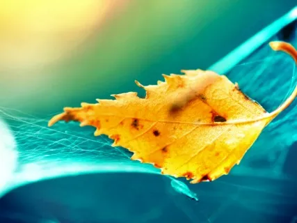 Deep Healing Meditation: Let Go Of Anxiety, Fear & Worries