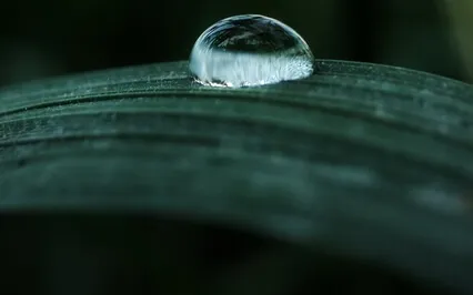 Deep Healing Meditation Music