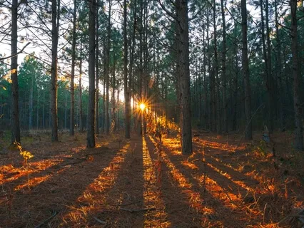 Deep Healing Meditation #3 - Shifting Perspective