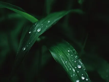 Deep Healing Relaxation