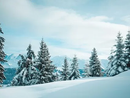 Deep Healing Sleep With Delta Waves: Let Go And Rest Tonight