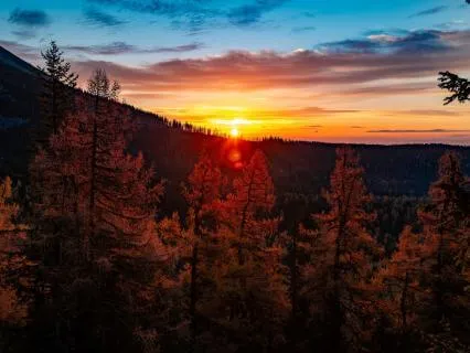 Deep Healing: Vagus Nerve Reset