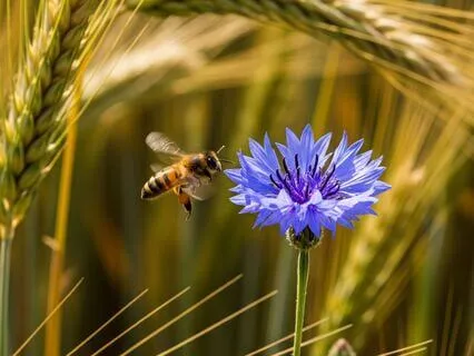 Deep Heart Connection Soulful Activation