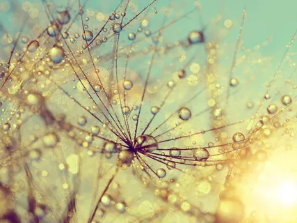 Deep Hypnotic Soundscape