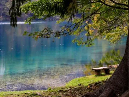 Deep Inner Peace Meditation For Overthinking & Self-Love