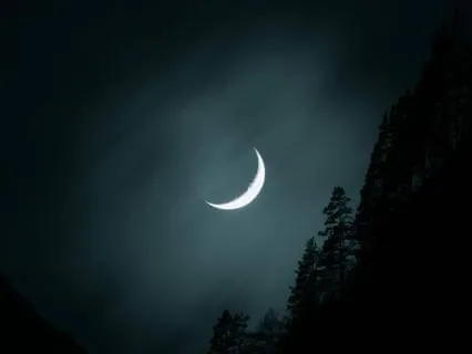 Deep Liminal Sleep (12 Hours)