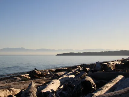 Deep Listening - What Do I Want?