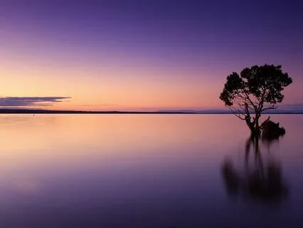 Deep Meditation Music For The Body, Soul And Spirit