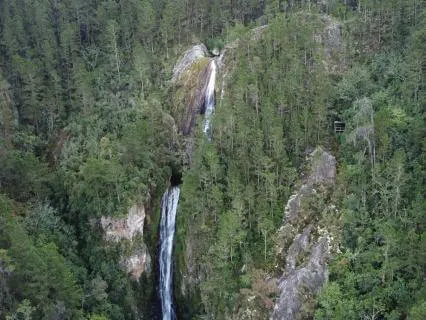 Deep Meditation Session In An Organic Garden
