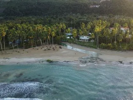 Deep Meditation Session In The Jungle