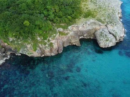 Deep Meditation Session With Fungi