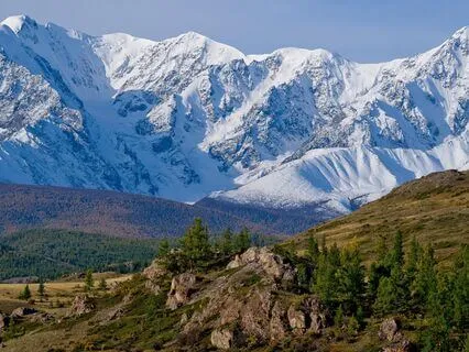 Deep Mind Reset: Awakening In Presence — 95