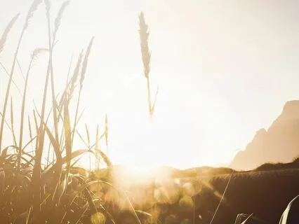 Deep Mindfulness Meditation