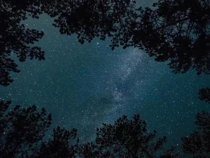 Deep Music For Meditation And Sleep (8-Hour Sleep Version)