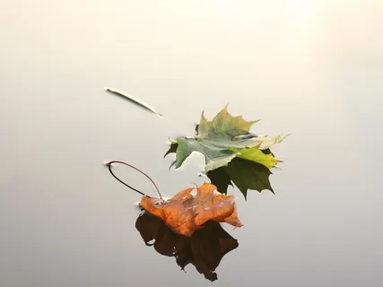 Deep Music Meditation for Relaxing