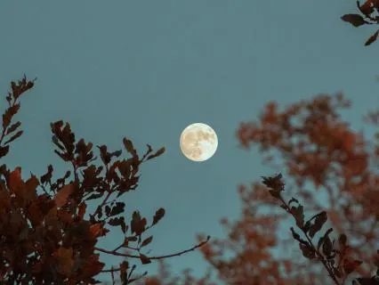 Deep Nervous System Reset