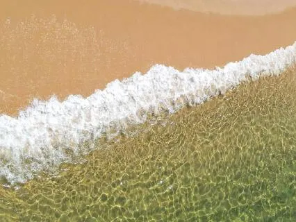 Steady Calm: A Nervous System Rebalance