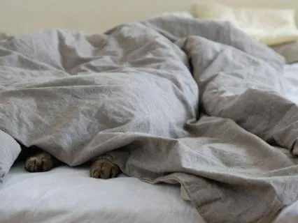 Deep Night Drift: 8-Hour Sleep Meditation For Sleep