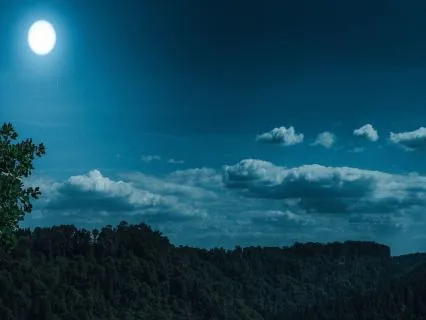 Deep Night Resonance: 7-Hour Sleep In 432 Hz